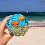Punta Cana Cupcakes