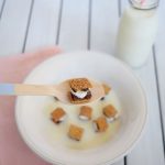 Mini S’mores Cereal
