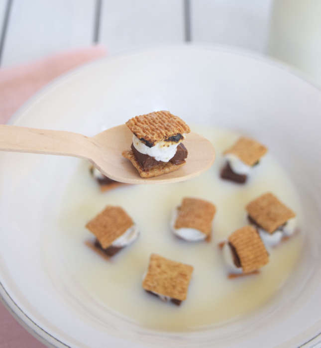Mini S'mores Cereal