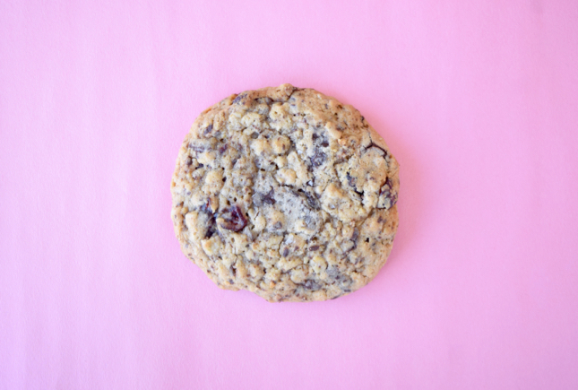 Chocolate Chip Cranberry Cookie