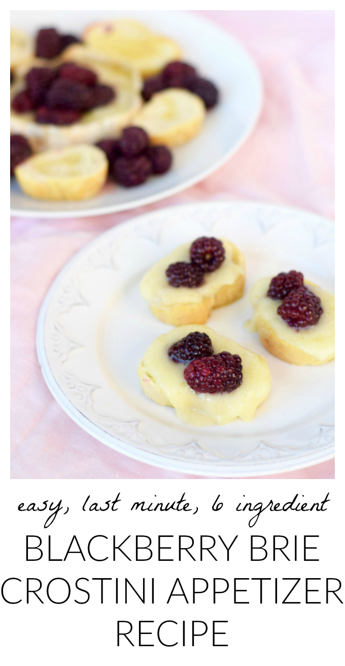 How To Make An Easy Last Minute Blackberry Brie Crostini Appetizer Recipe