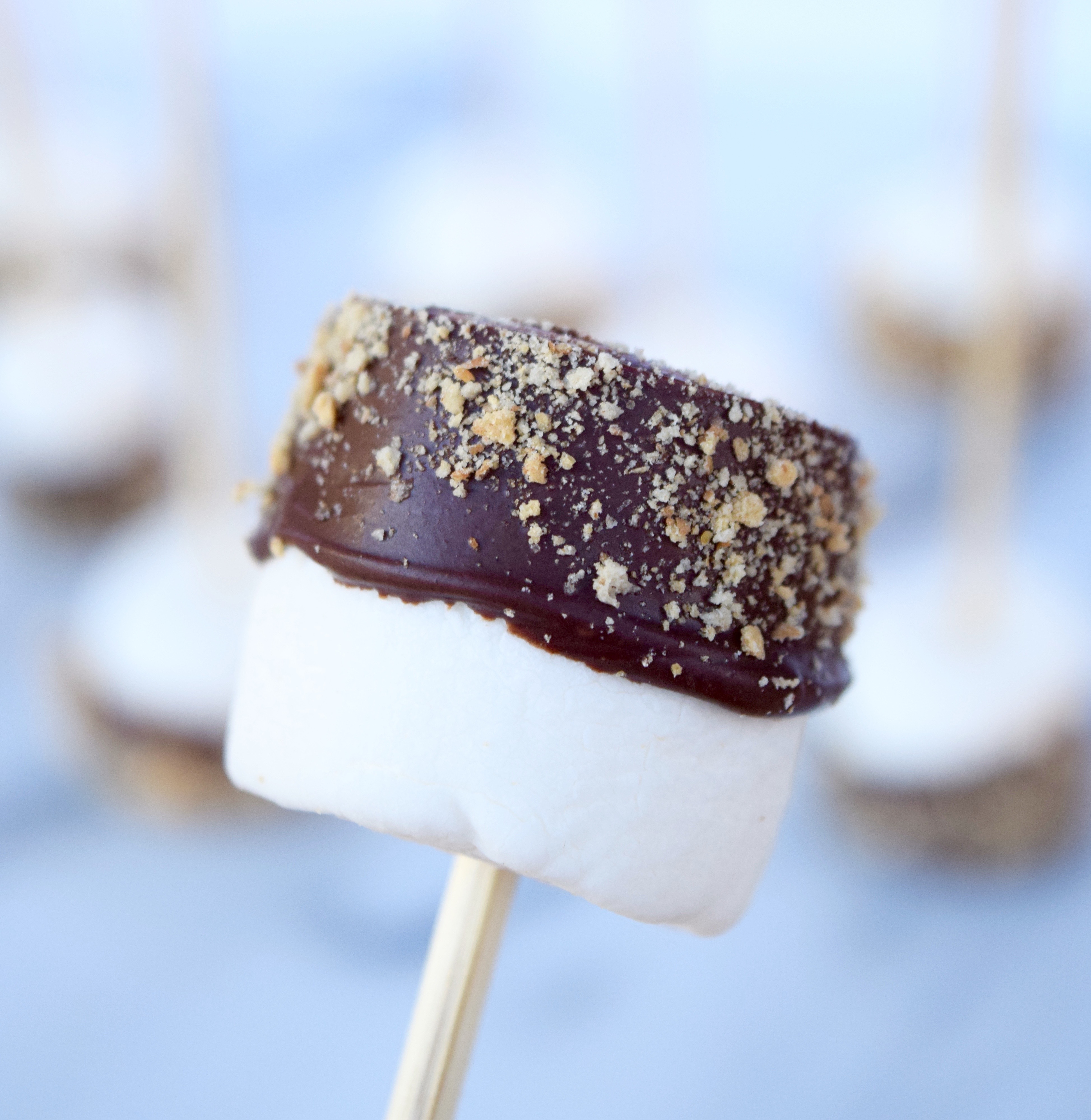 Indoor S'mores On A Stick Recipe